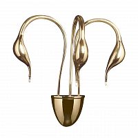 бра lightstar cigno collo 751632 в Ульяновске