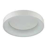 потолочный светодиодный светильник odeon light sole 4062/50cl в Ульяновске